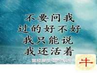 上海兴侃机电五金有限公司