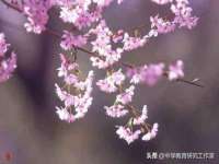 上海兴侃机电五金有限公司