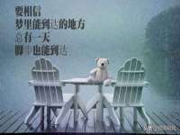 上海兴侃机电五金有限公司