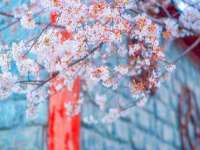 上海兴侃机电五金有限公司