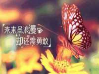 上海兴侃机电五金有限公司