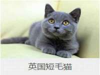 上海兴侃机电五金有限公司