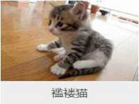 上海兴侃机电五金有限公司
