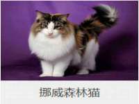 上海兴侃机电五金有限公司