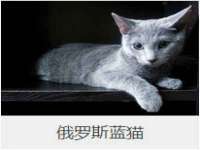 上海兴侃机电五金有限公司