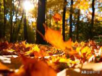 上海兴侃机电五金有限公司