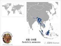 上海兴侃机电五金有限公司