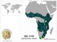 上海兴侃机电五金有限公司