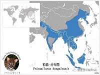 上海兴侃机电五金有限公司