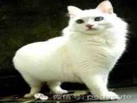 上海兴侃机电五金有限公司