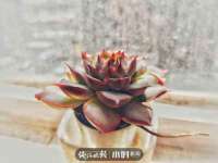 上海兴侃机电五金有限公司