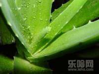 上海兴侃机电五金有限公司