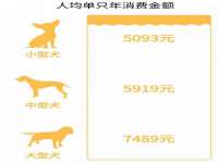 上海兴侃机电五金有限公司