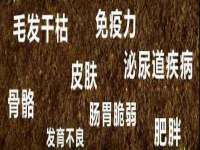 上海兴侃机电五金有限公司