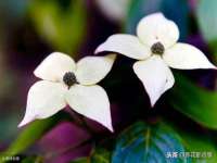 上海兴侃机电五金有限公司