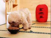 上海兴侃机电五金有限公司