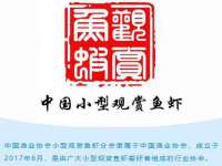 上海兴侃机电五金有限公司
