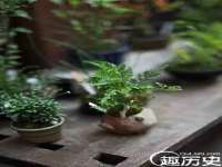 上海兴侃机电五金有限公司