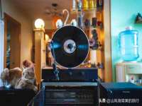 上海兴侃机电五金有限公司