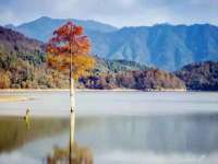 上海兴侃机电五金有限公司