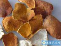 上海兴侃机电五金有限公司