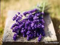 上海兴侃机电五金有限公司