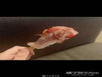 上海兴侃机电五金有限公司